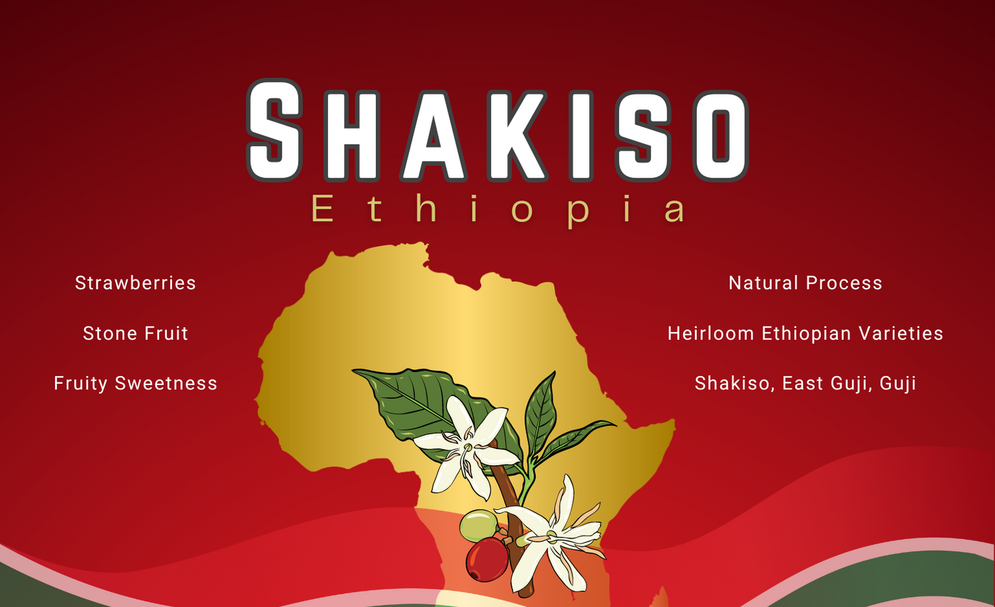 Ethiopia Shakiso - Producer Select Series